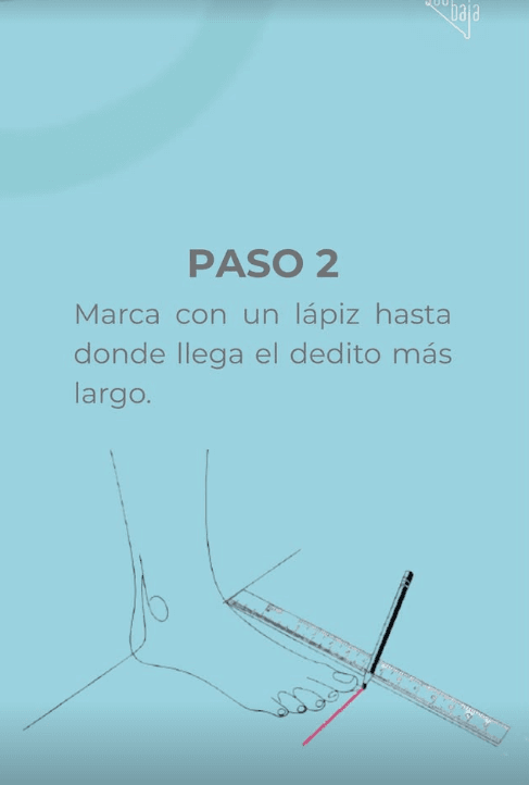 Paso 2